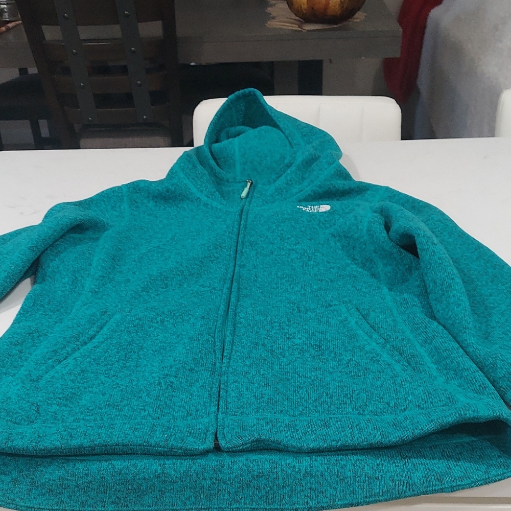 The North Face Womens Turquoise Hoodie